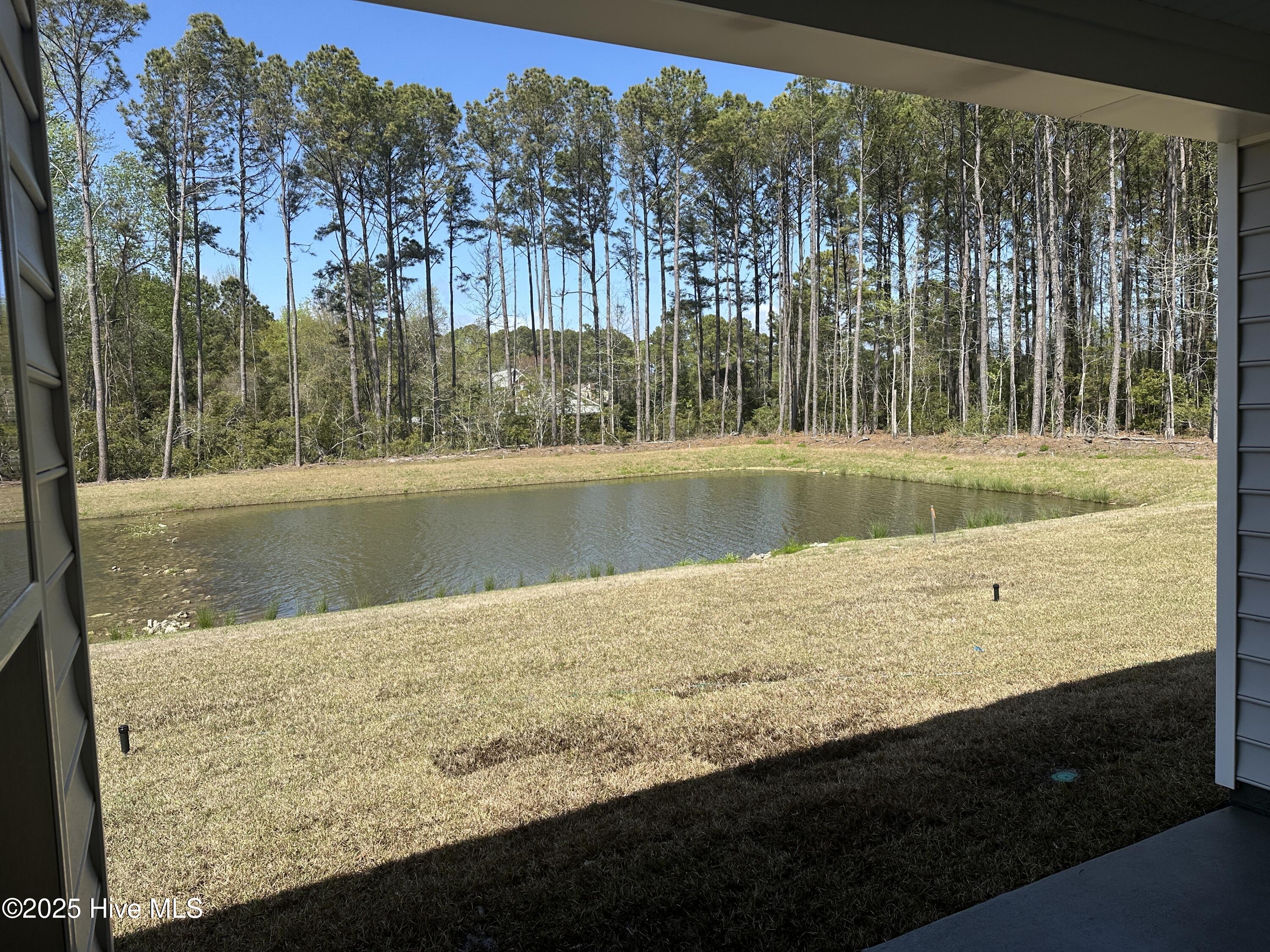 3326 Wood Stork Drive Litchfield Ii Lot 51 Property Photo 10