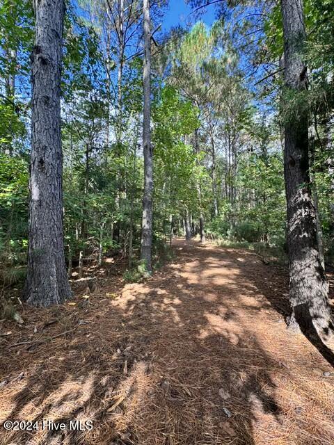 270 Hydrangea Lane Property Photo 52
