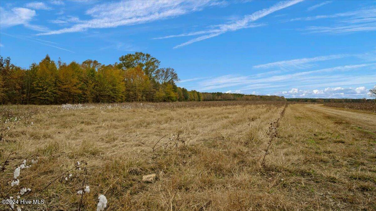 0 Hwy 561 Property Photo 6