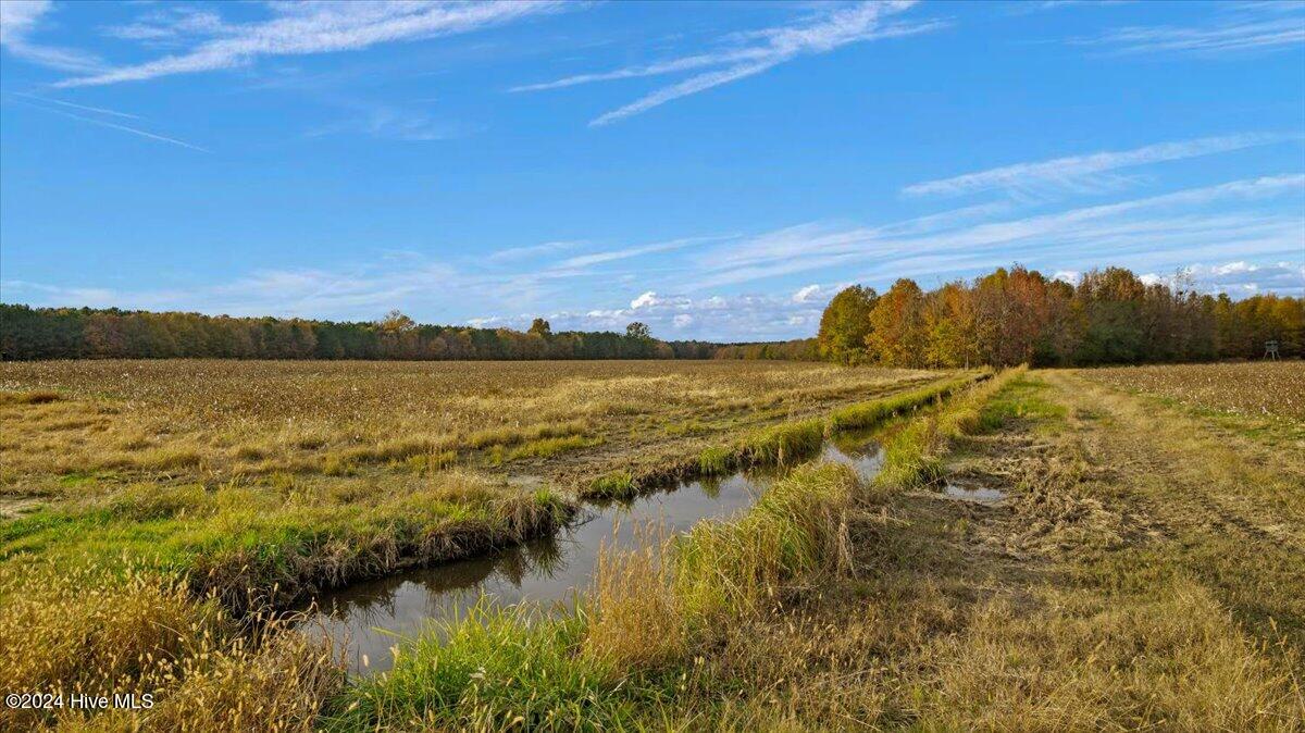 0 Hwy 561 Property Photo 10