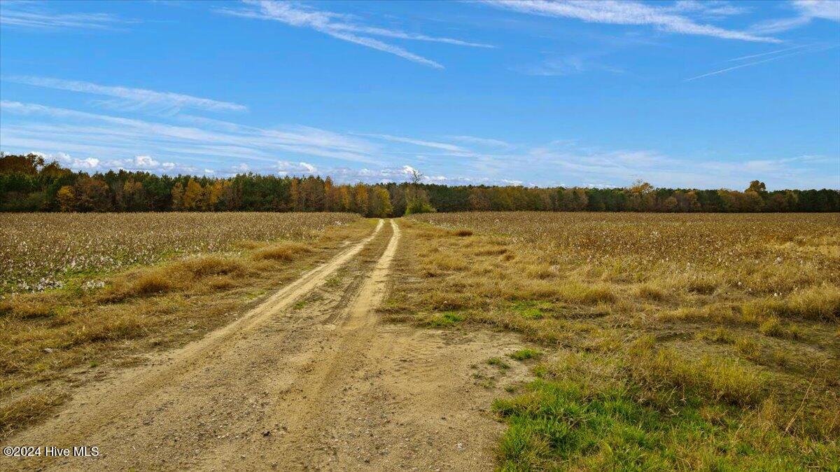 0 Hwy 561 Property Photo 11