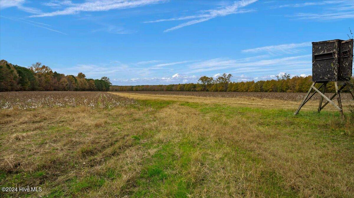 0 Hwy 561 Property Photo 13
