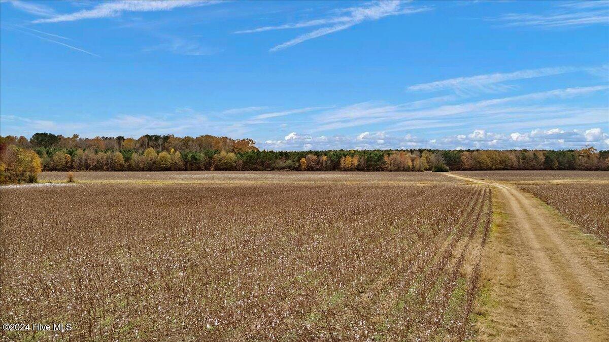 0 Hwy 561 Property Photo 14