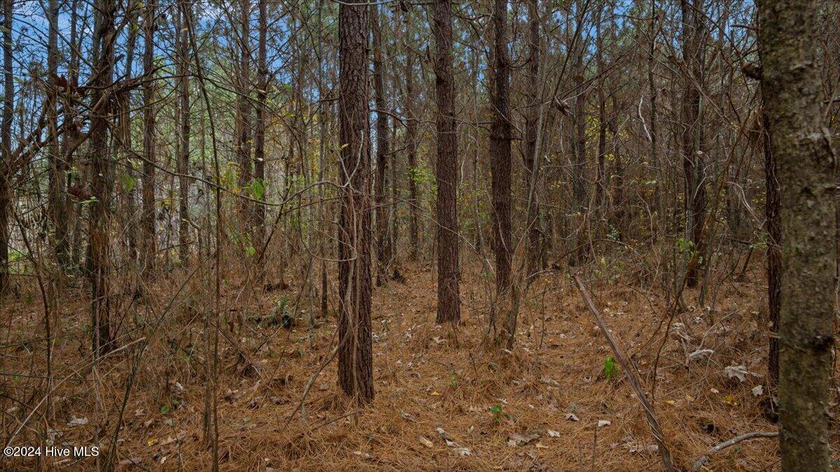 0 Hwy 561 Property Photo 23