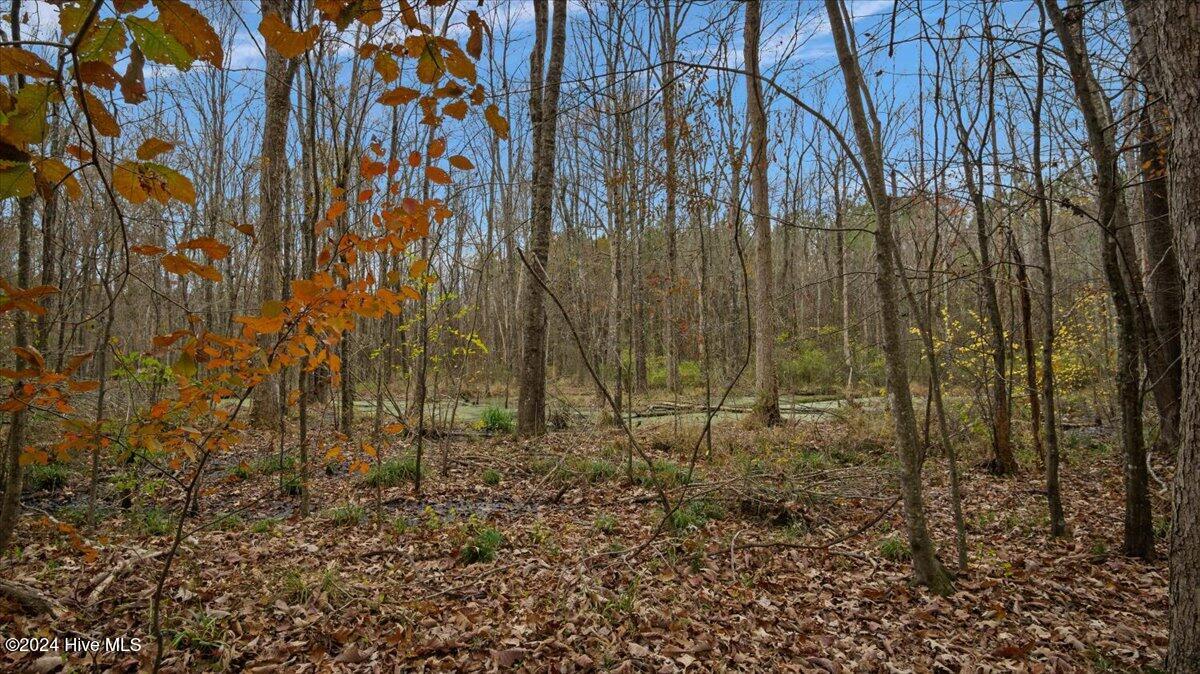 0 Hwy 561 Property Photo 24