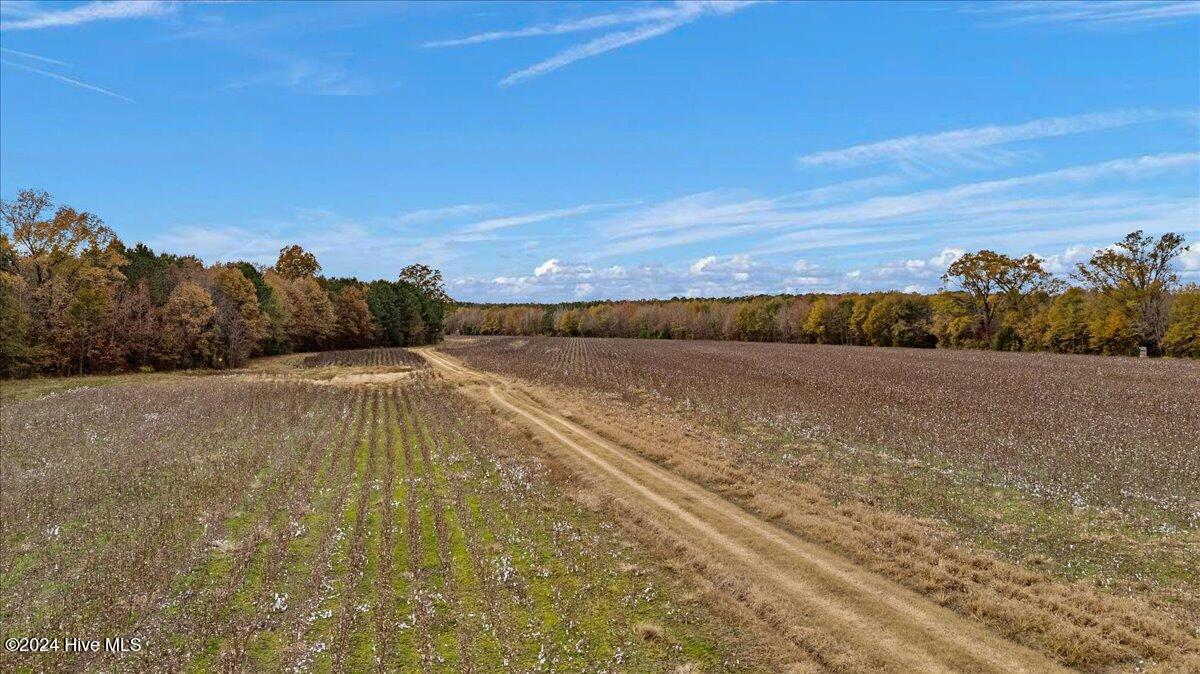 0 Hwy 561 Property Photo 28