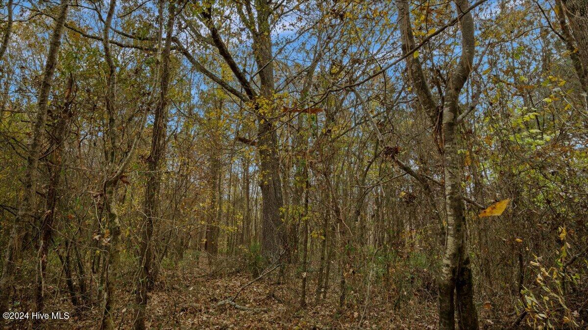 0 Hwy 561 Property Photo 29