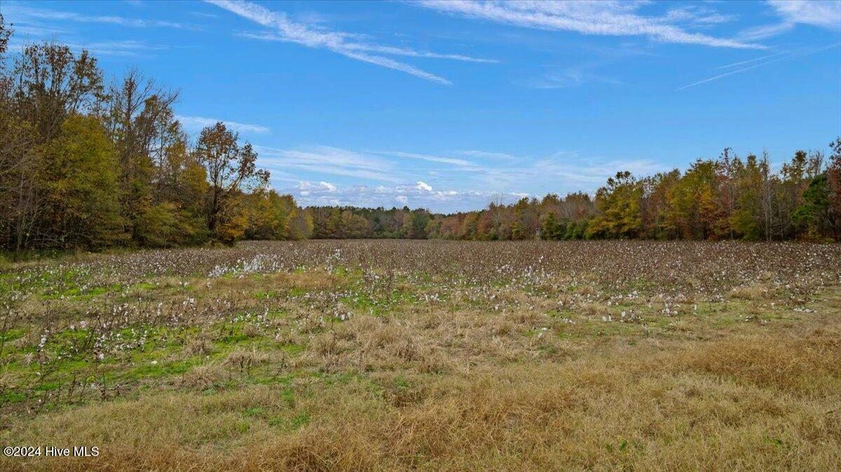 0 Hwy 561 Property Photo 30