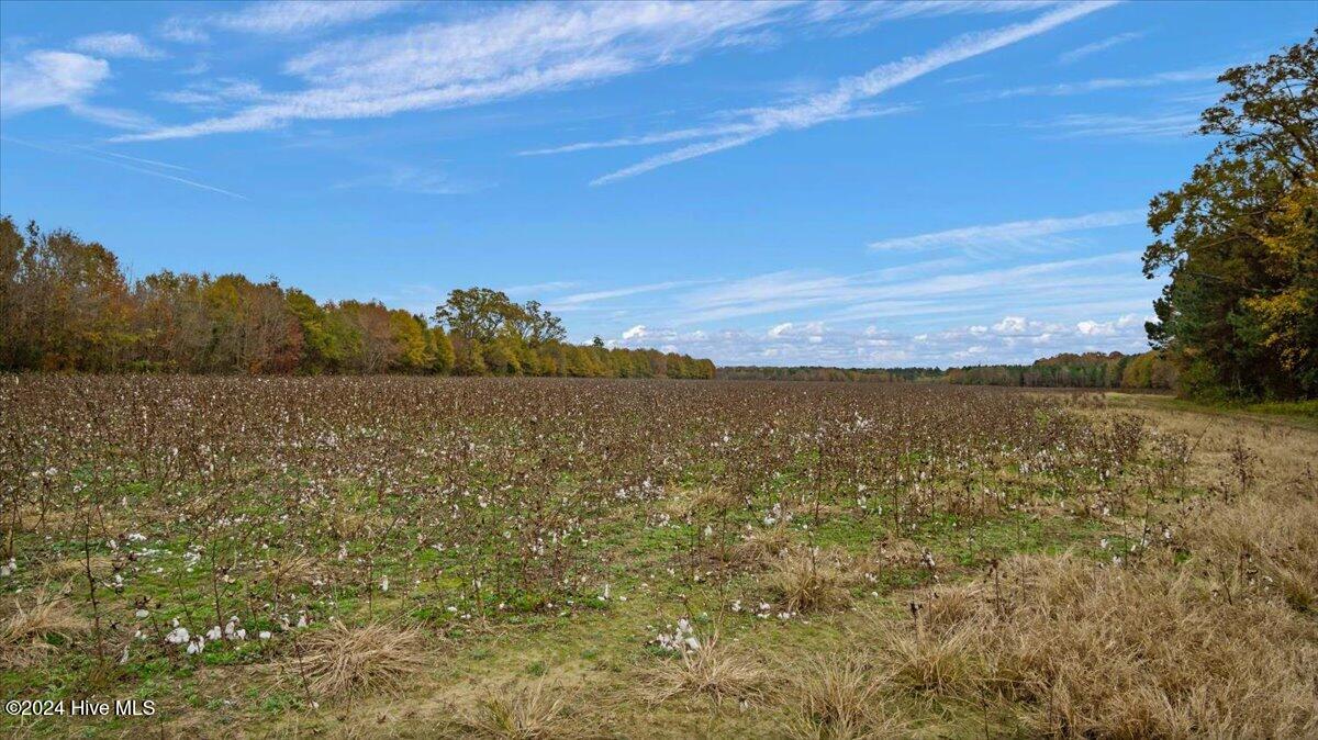 0 Hwy 561 Property Photo 31