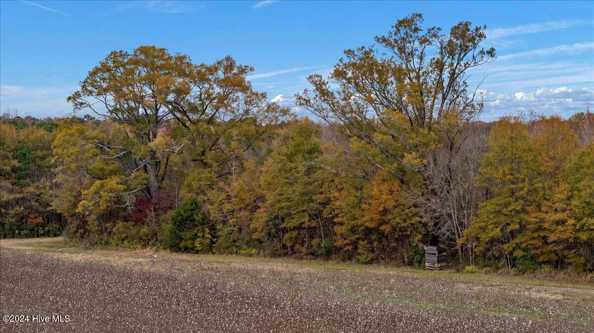 0 Hwy 561 Property Photo 32
