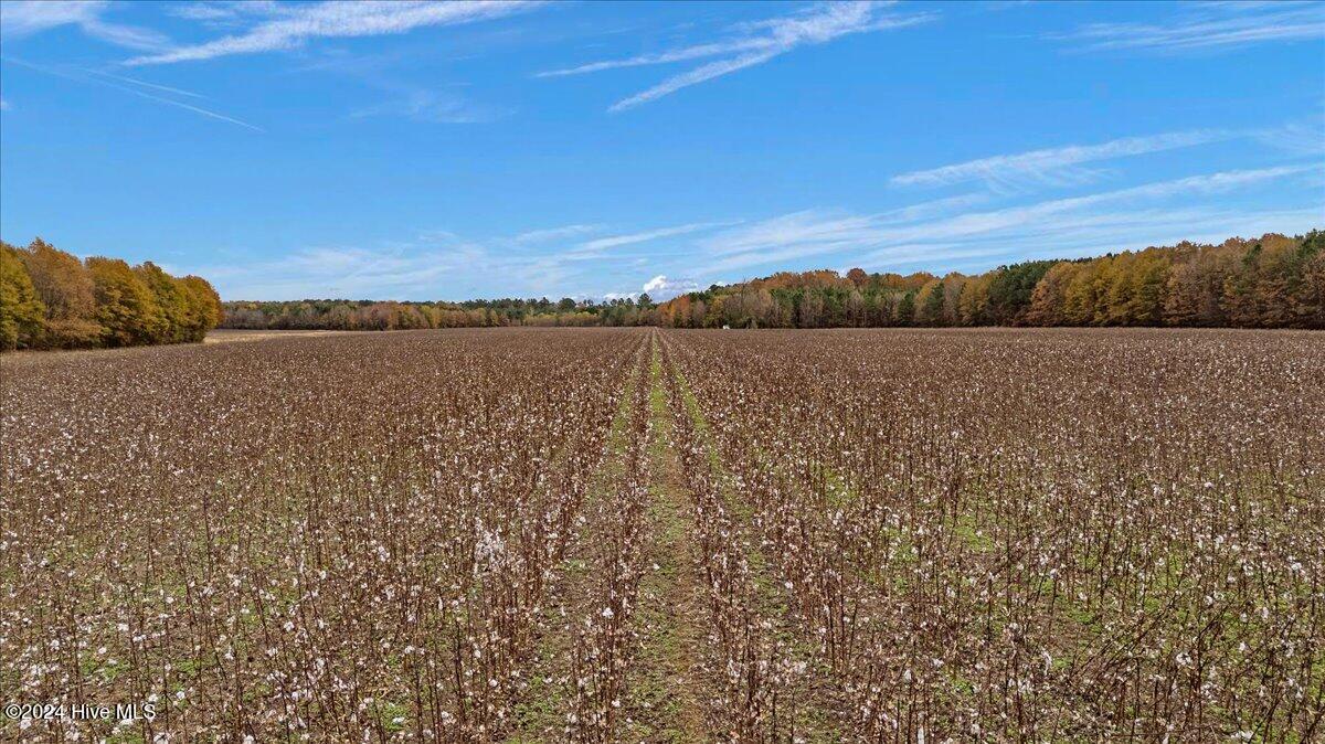 0 Hwy 561 Property Photo 34