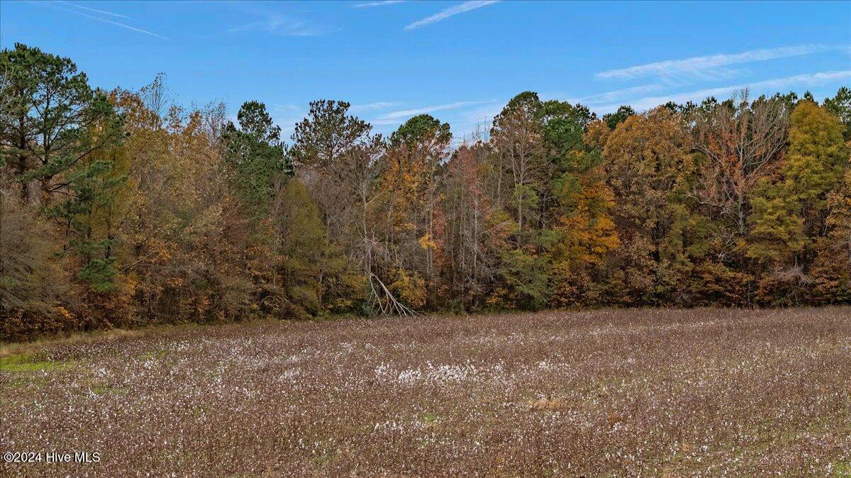 0 Hwy 561 Property Photo 35