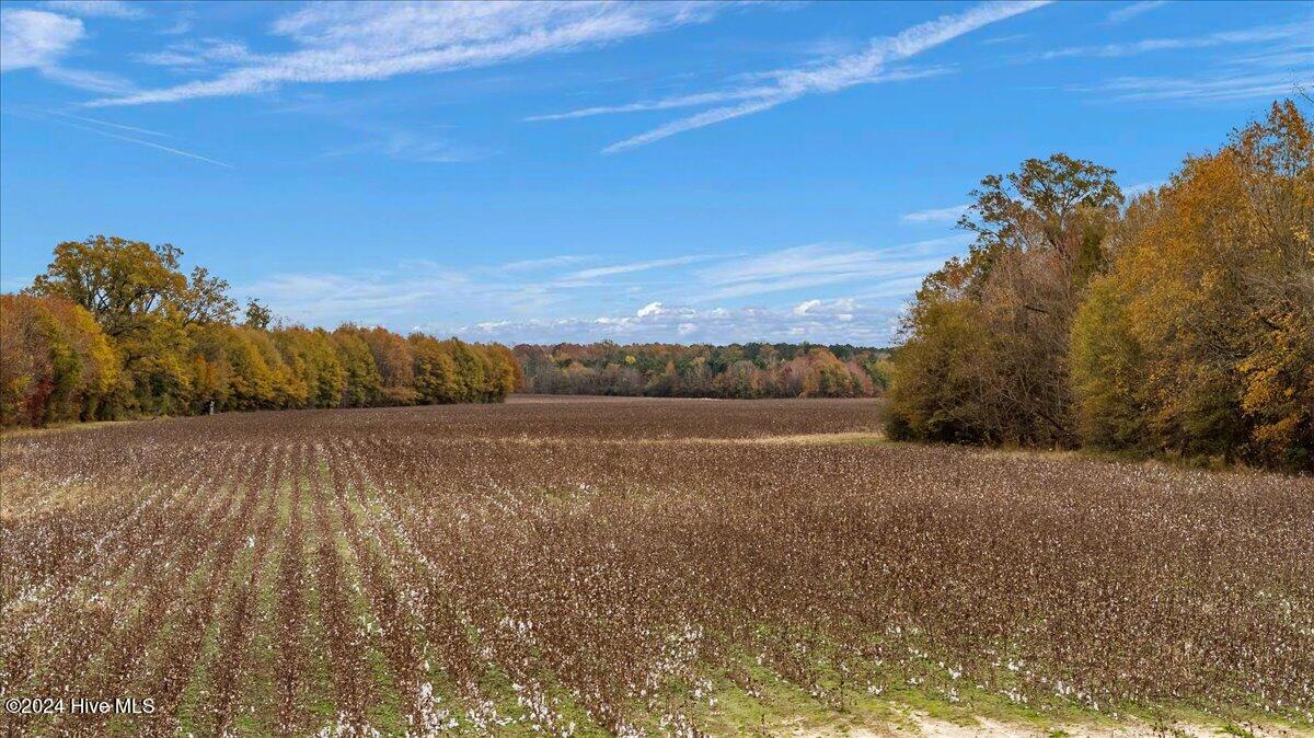 0 Hwy 561 Property Photo 36
