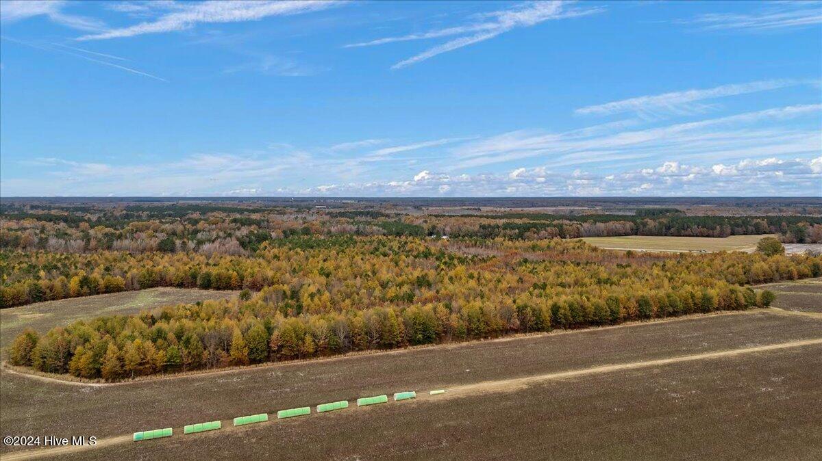 0 Hwy 561 Property Photo 39
