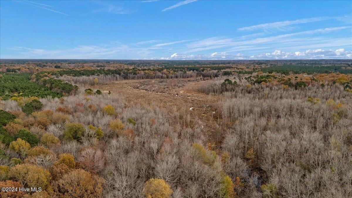 0 Hwy 561 Property Photo 40