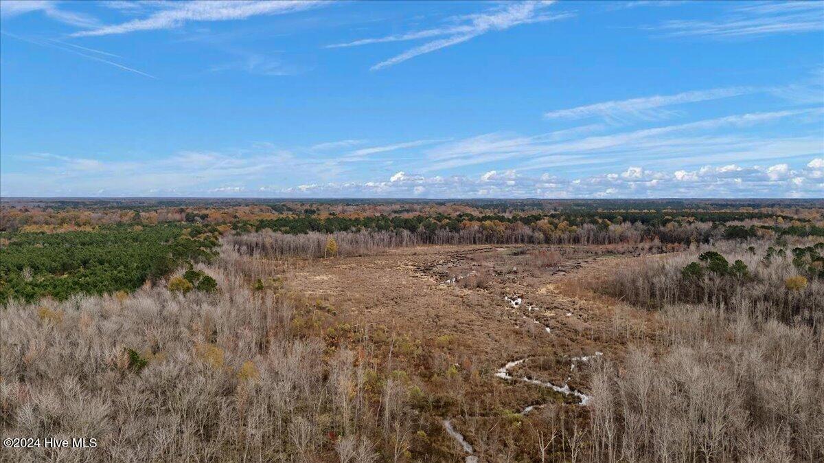0 Hwy 561 Property Photo 41