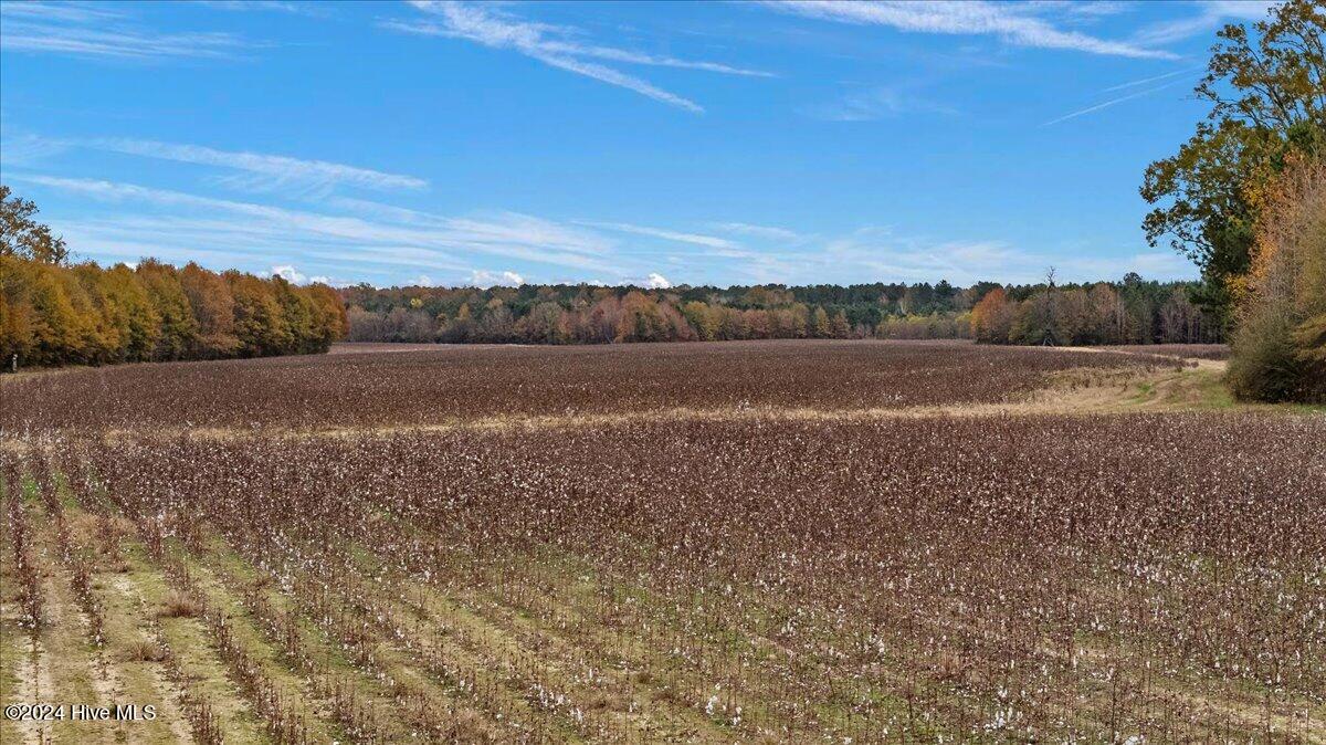 0 Hwy 561 Property Photo 43