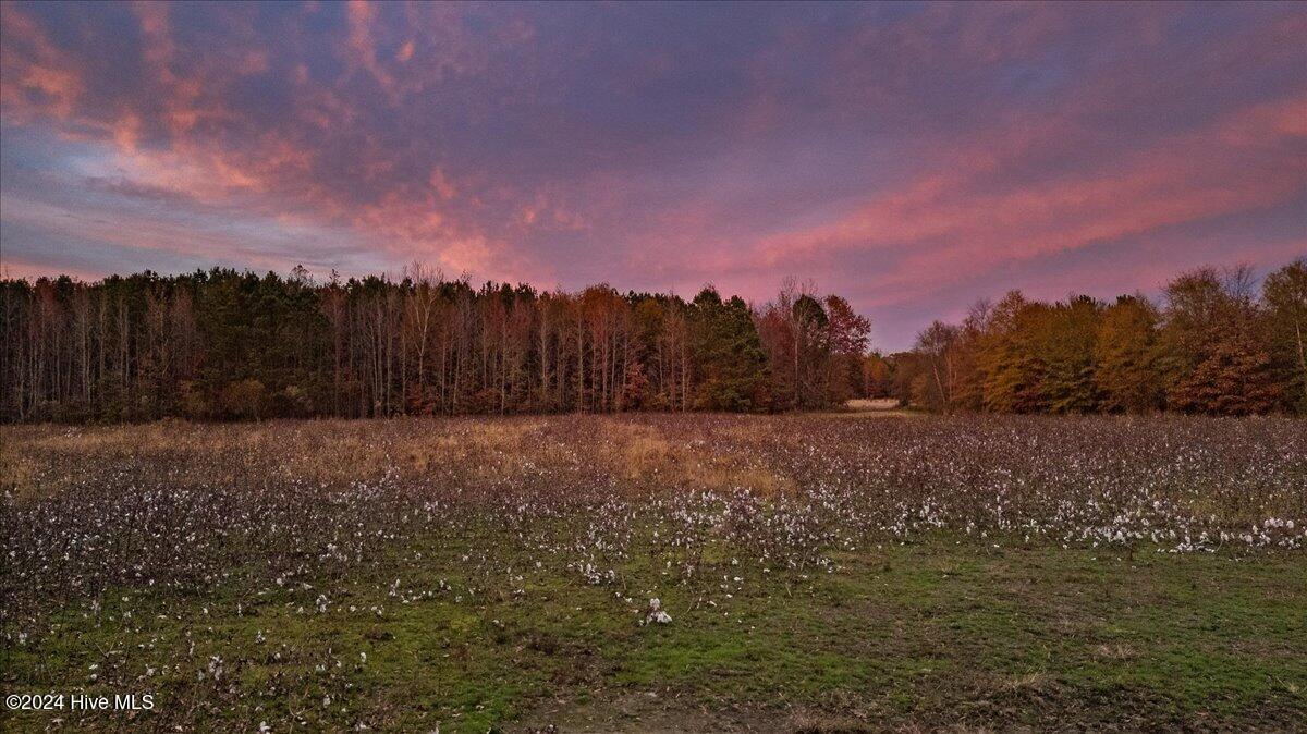 0 Hwy 561 Property Photo 48