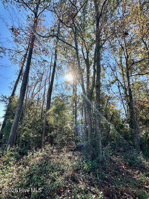 Lot 16 3rd Avenue Property Photo 4