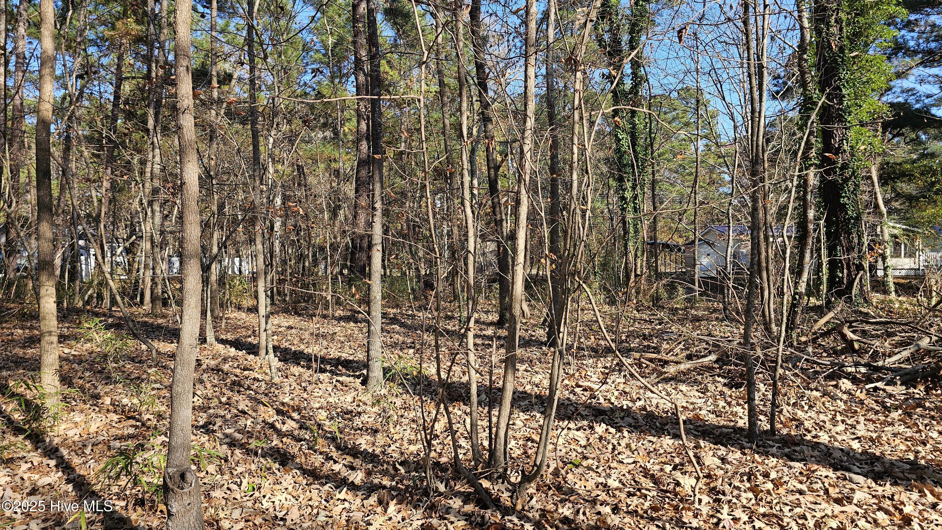 184 Shady Lane Property Photo 2
