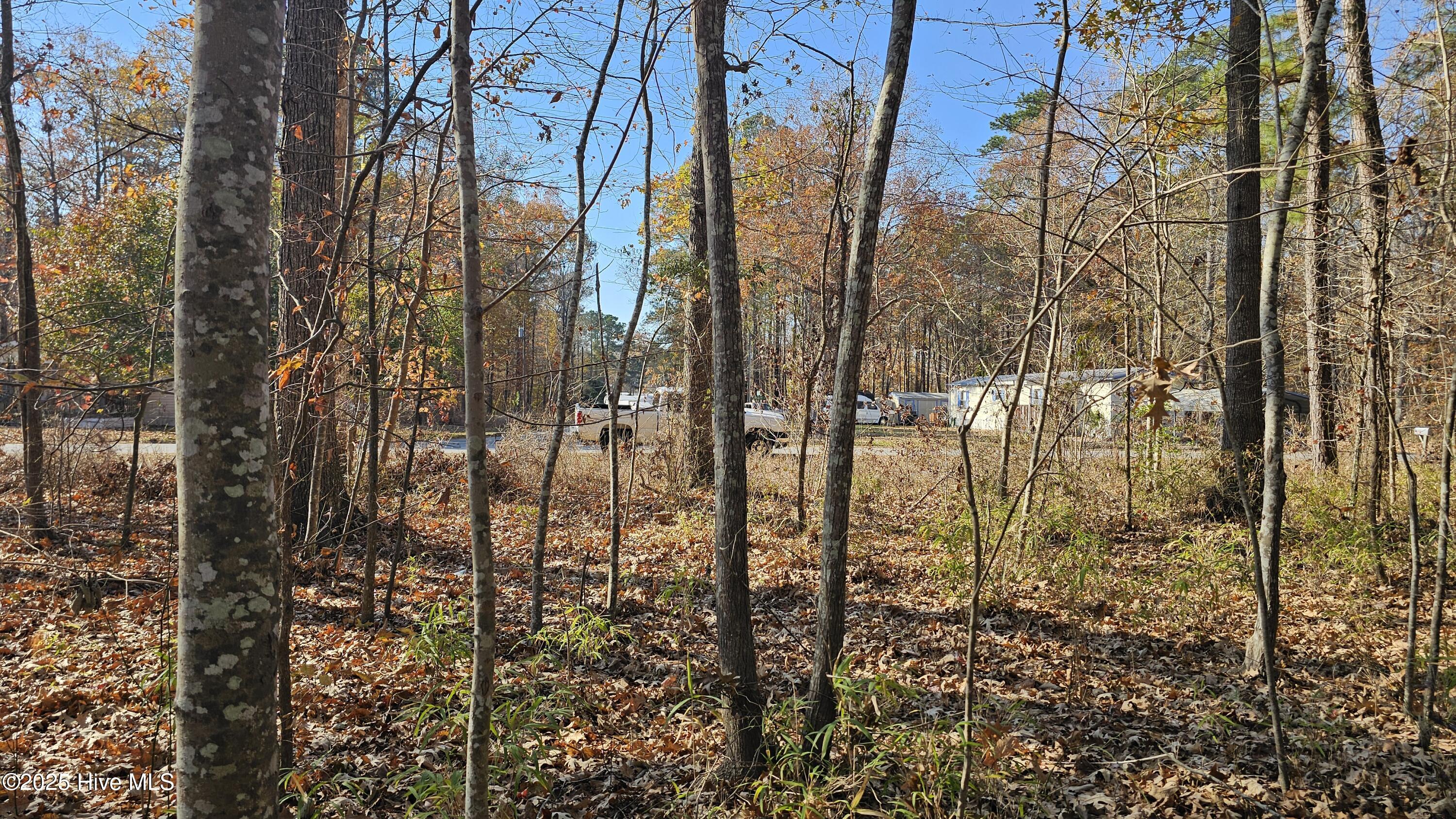 184 Shady Lane Property Photo 3