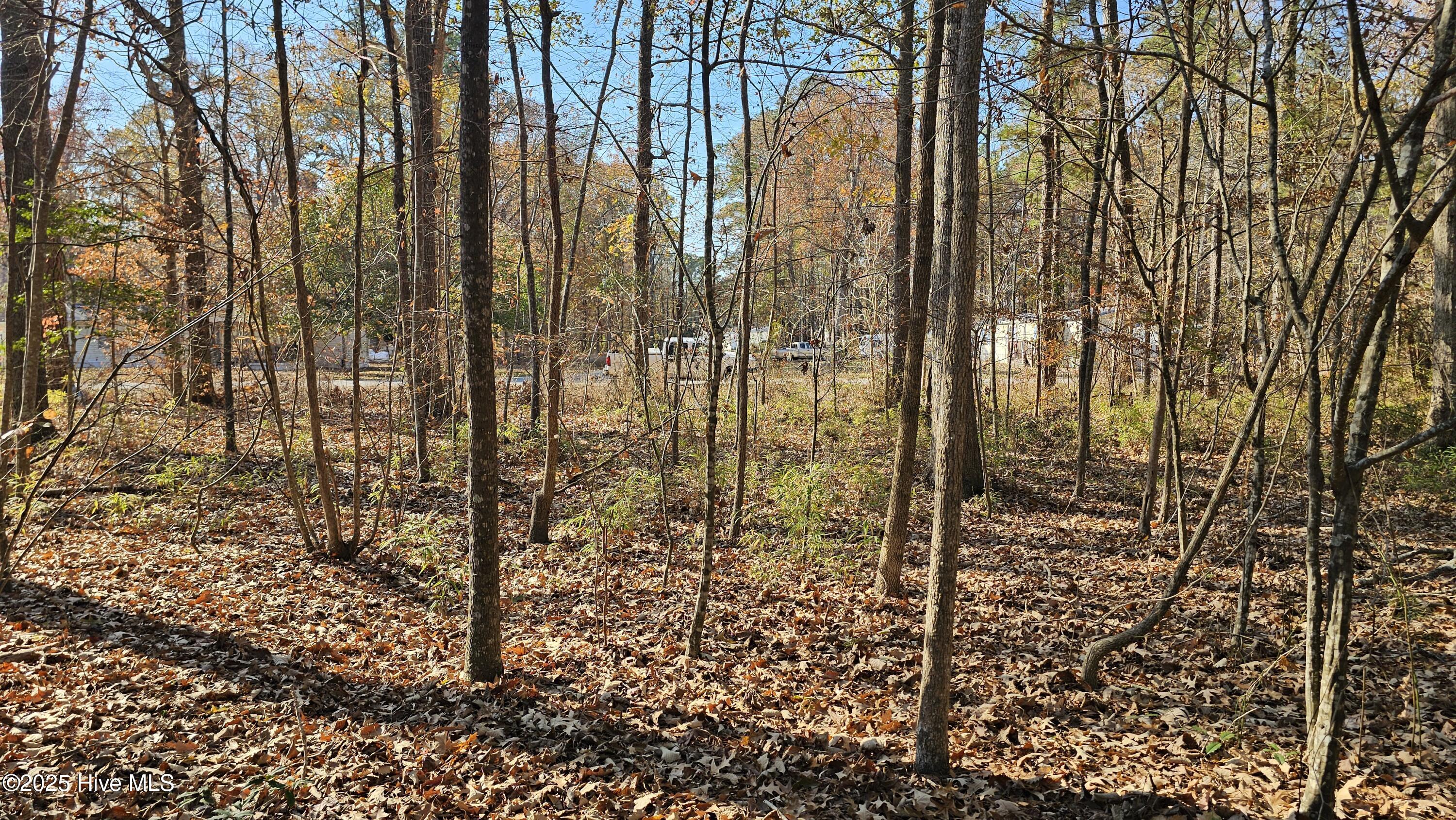 184 Shady Lane Property Photo 4