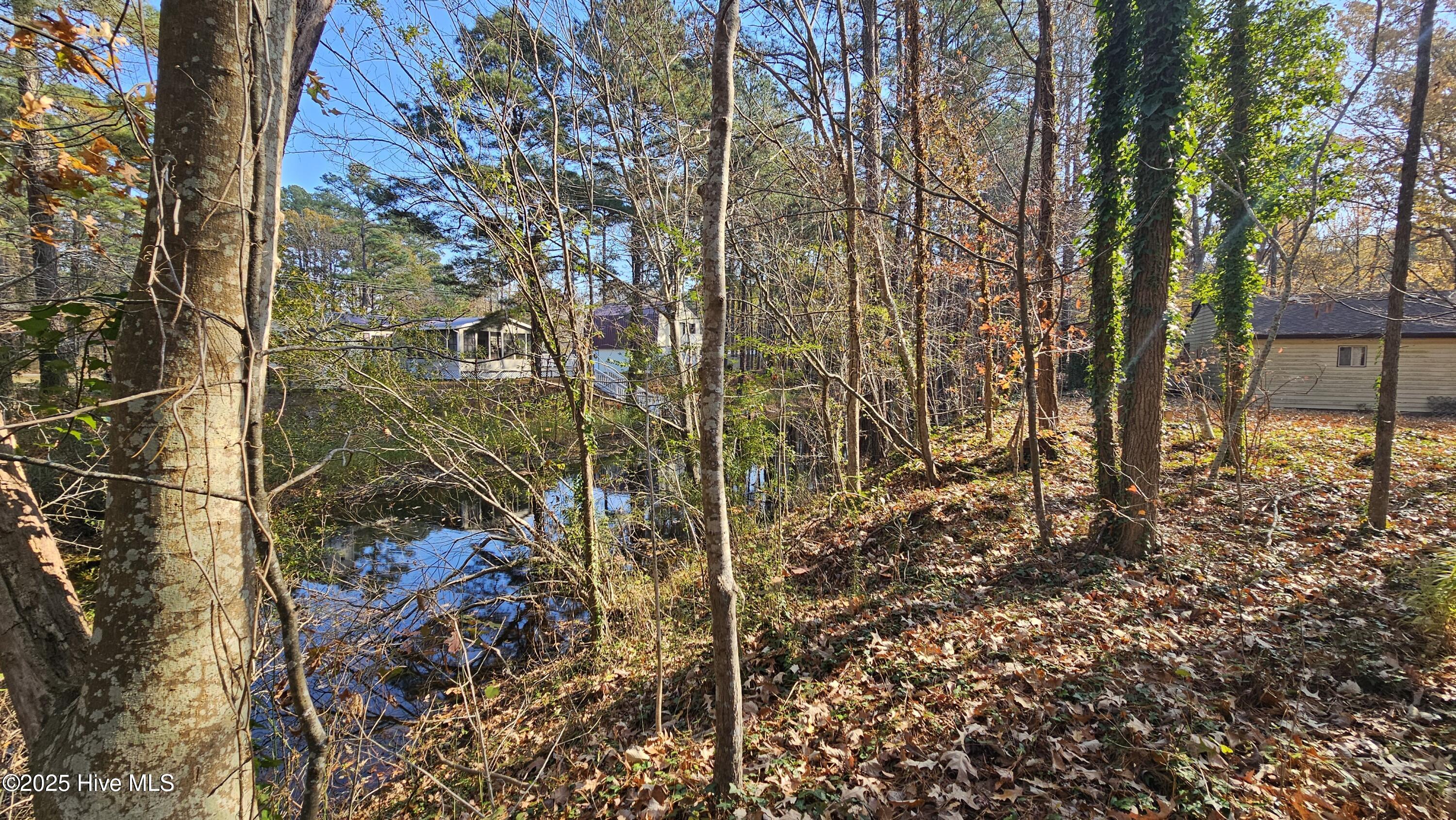 184 Shady Lane Property Photo 7