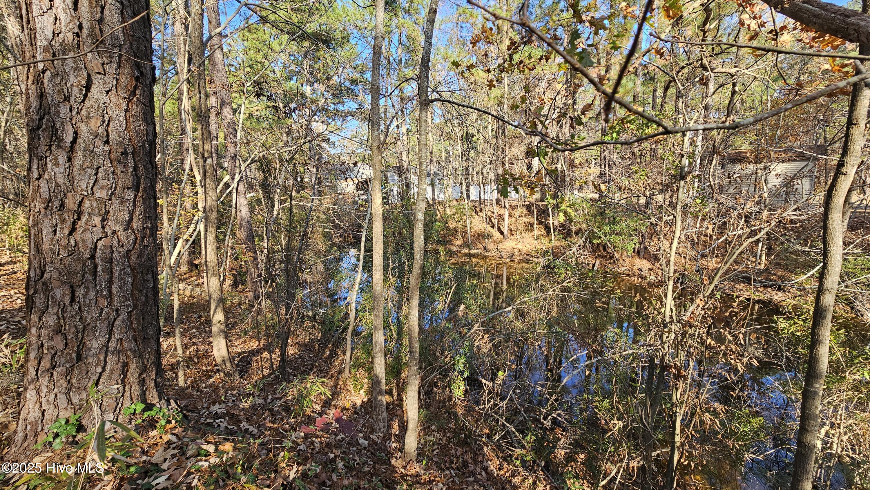 184 Shady Lane Property Photo 8