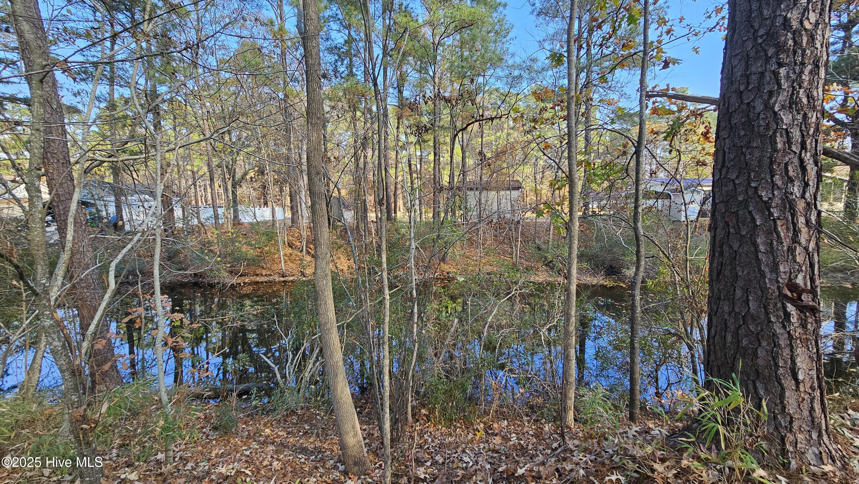 184 Shady Lane Property Photo 9