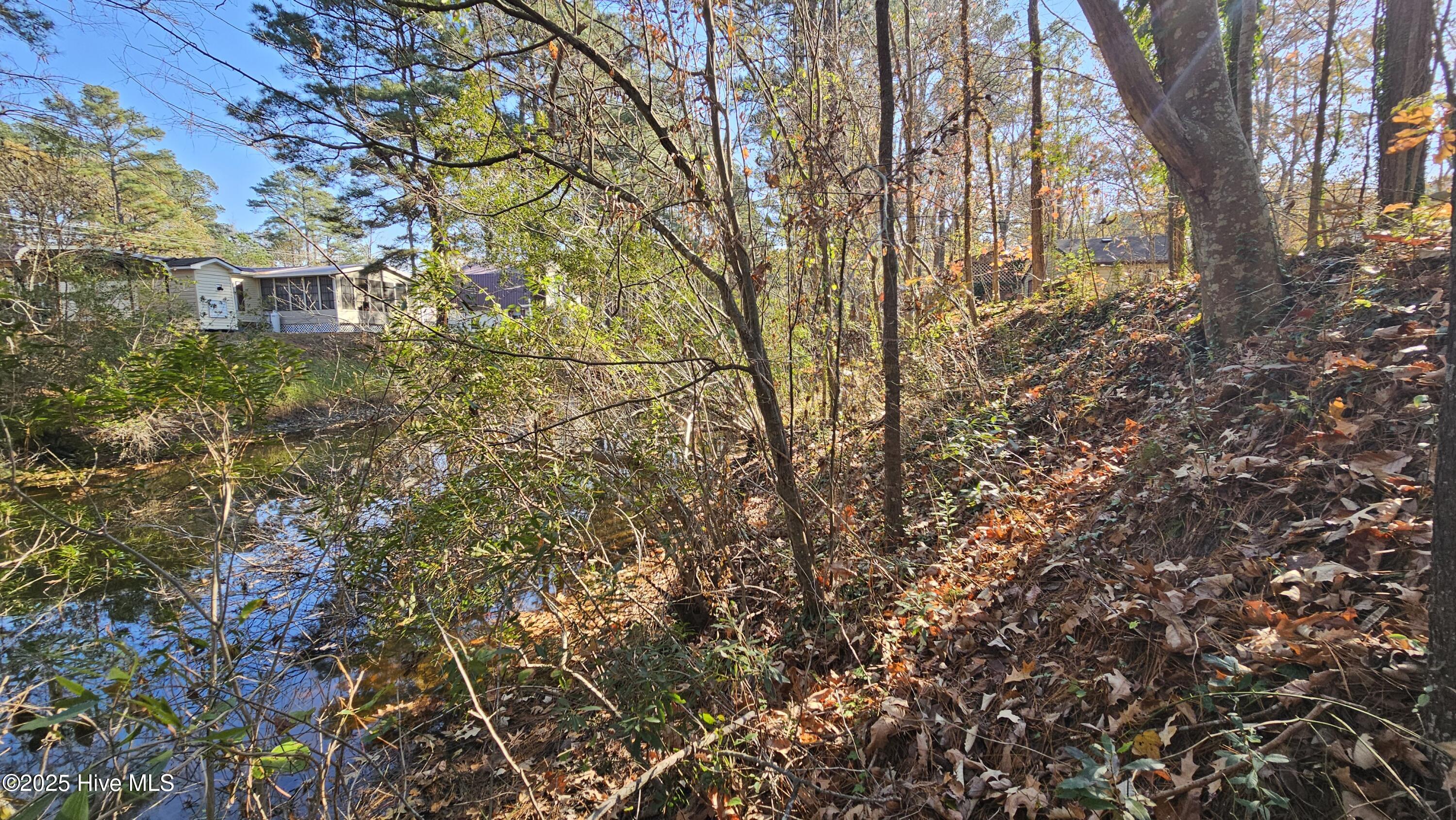 184 Shady Lane Property Photo 10