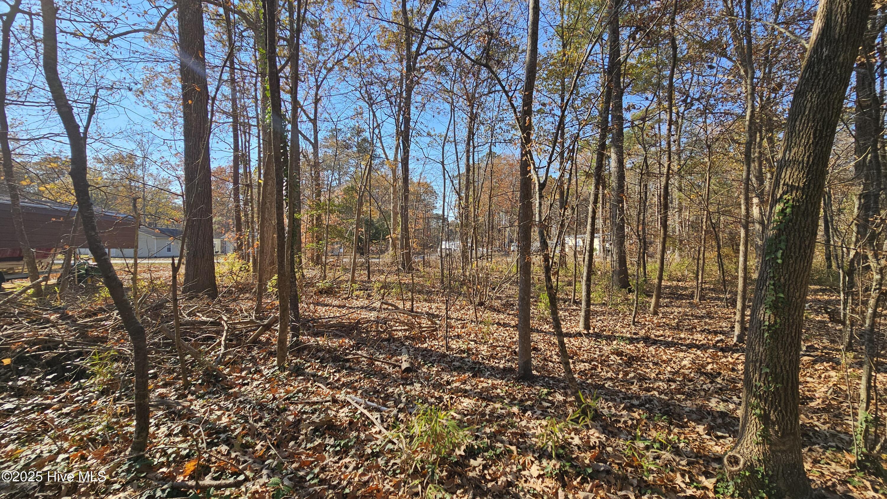 184 Shady Lane Property Photo 11