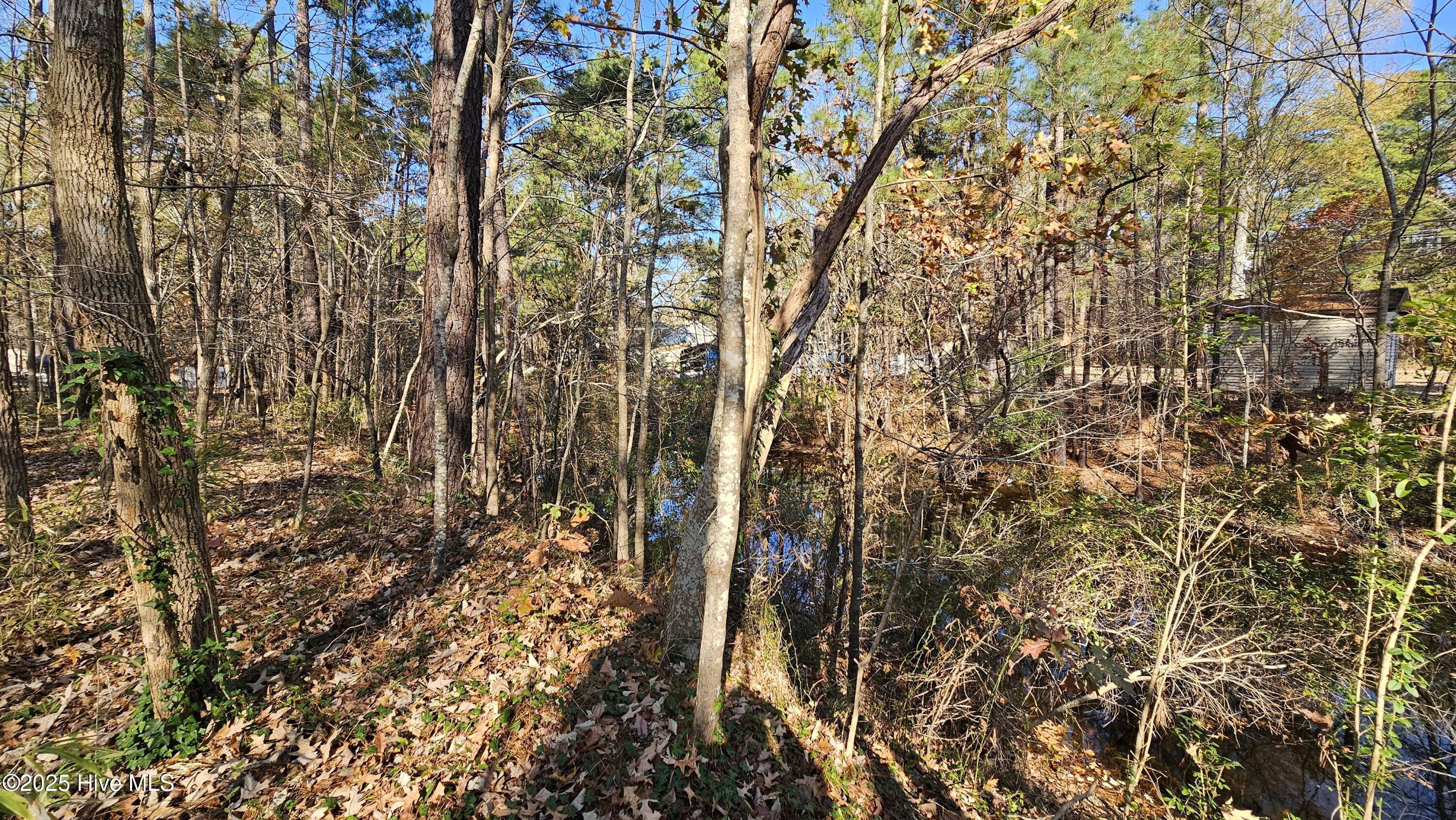 184 Shady Lane Property Photo 12