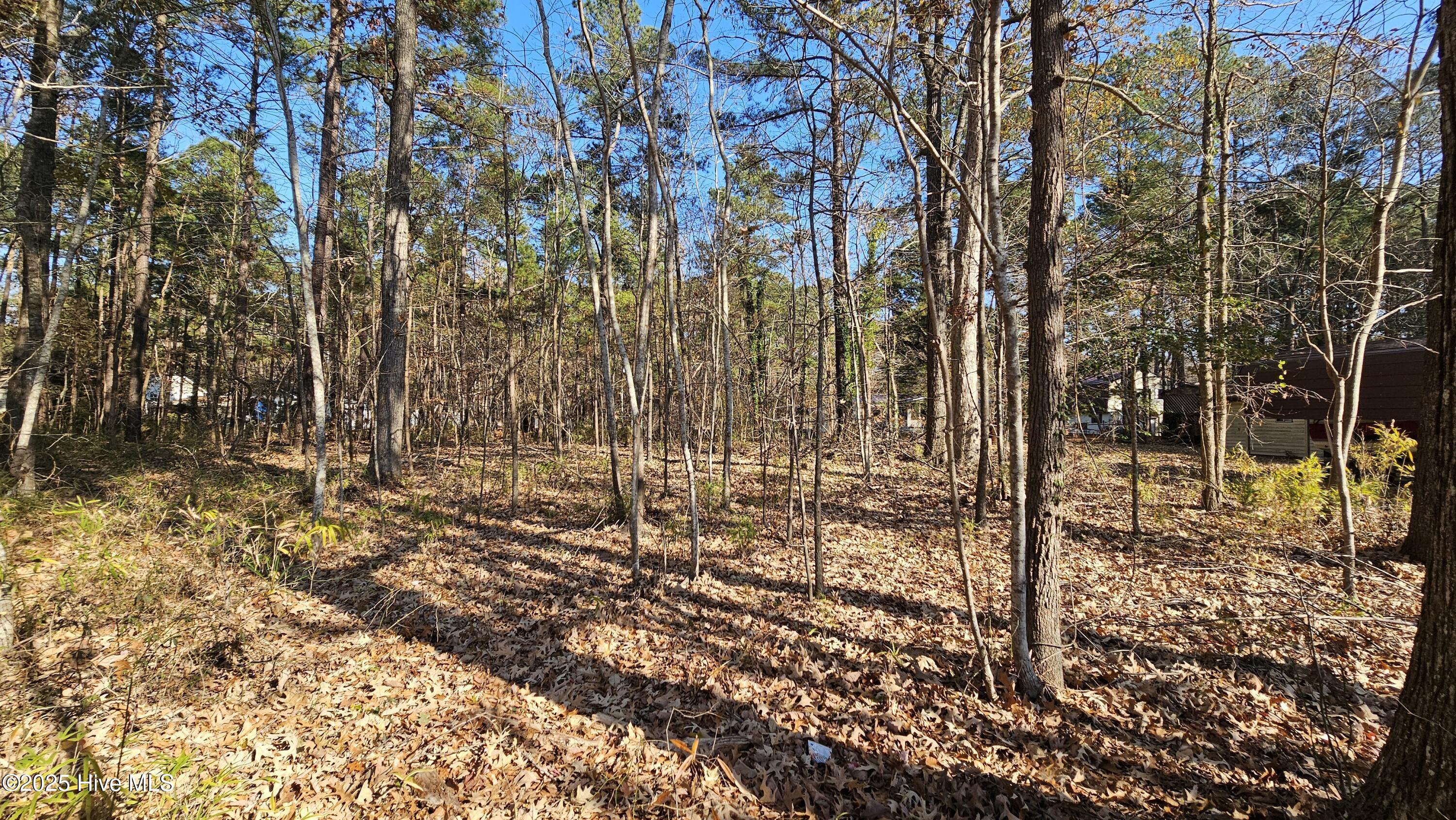 184 Shady Lane Property Photo 13