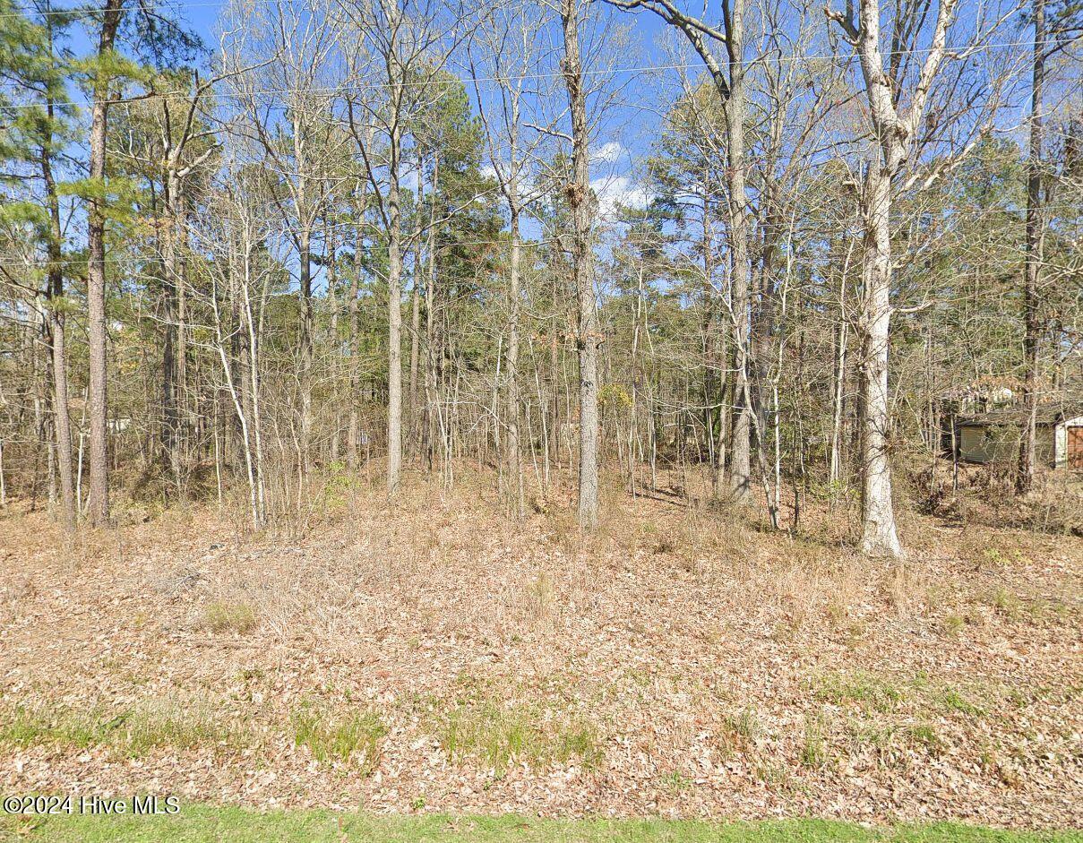 184 Shady Lane Property Photo 14