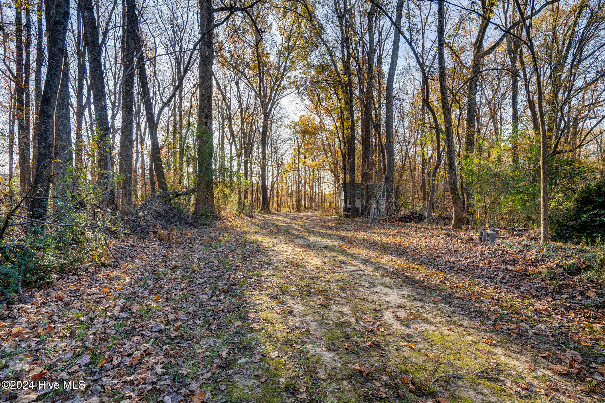 4027 Green Forest Court Property Photo 55