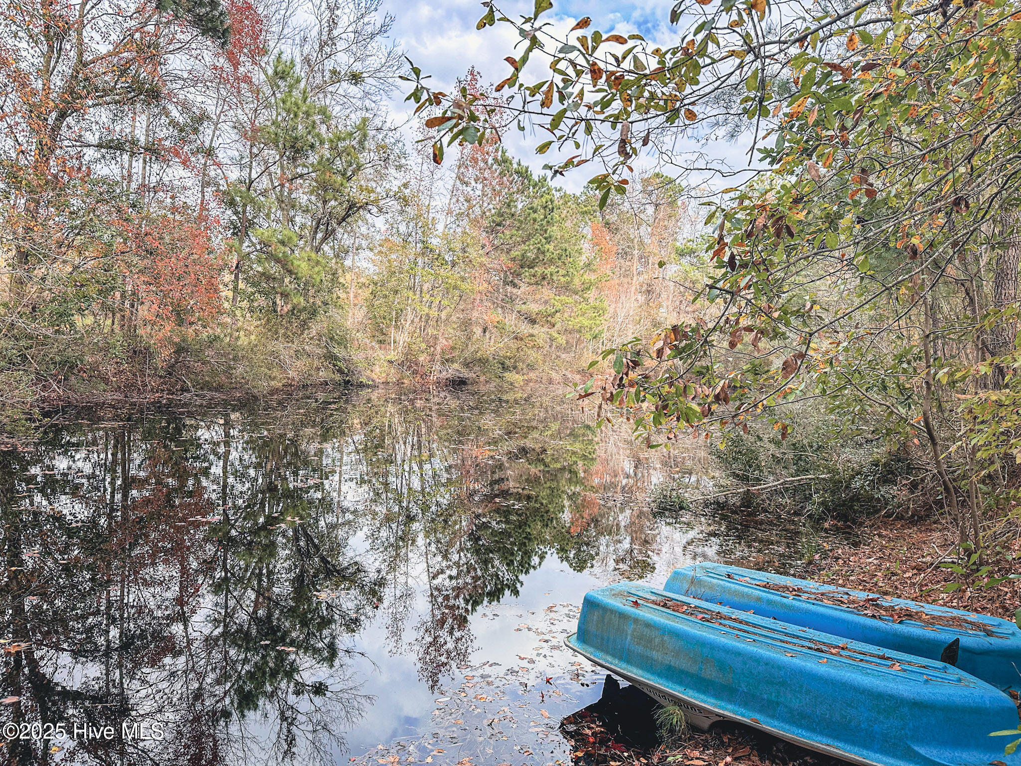 5199 Tobacco Road Property Photo 6