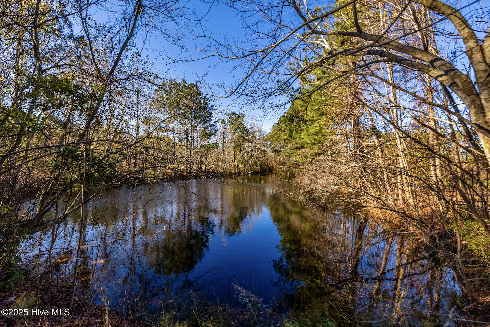 5199 Tobacco Road Property Photo 7