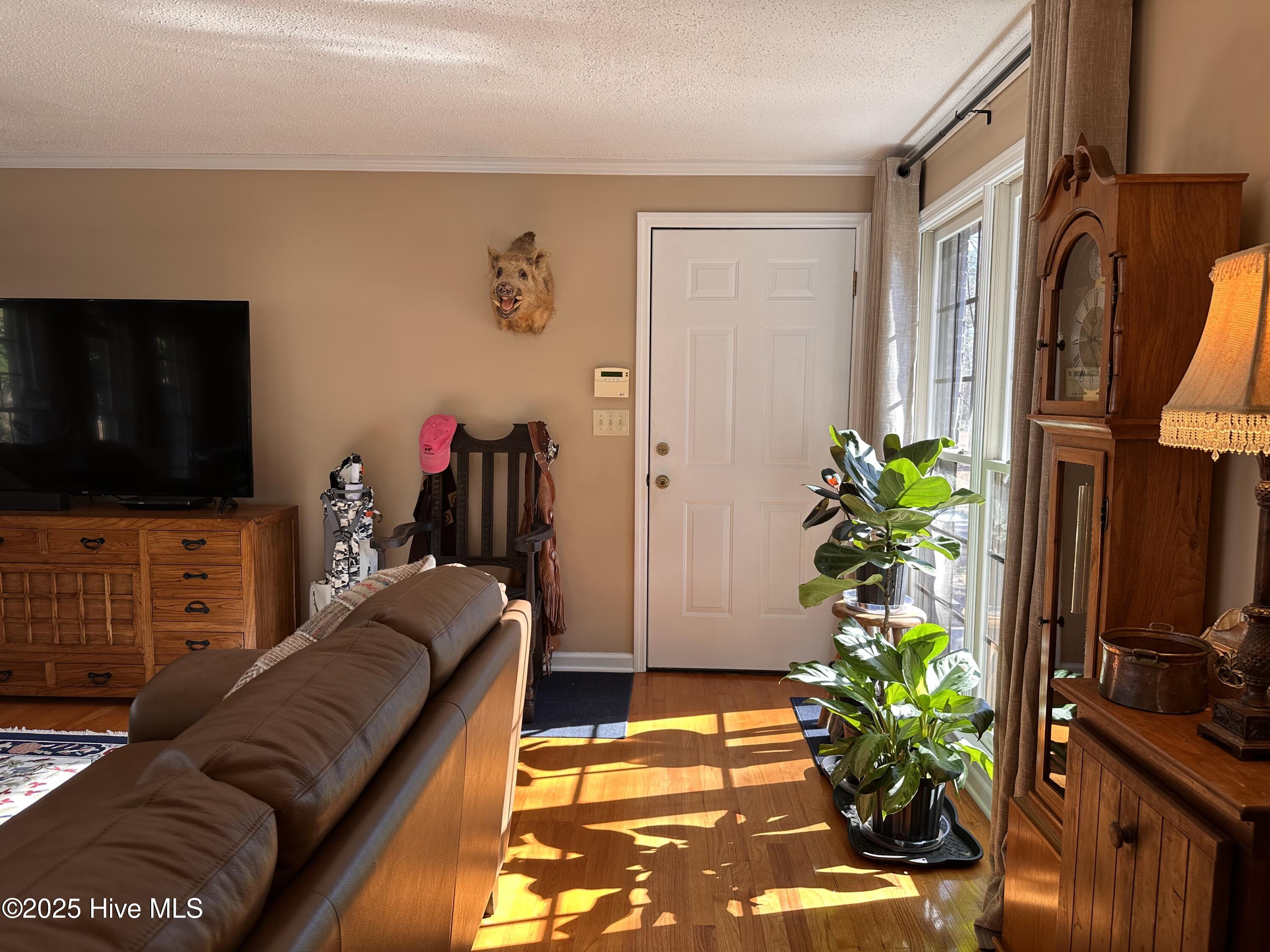 5199 Tobacco Road Property Photo 71