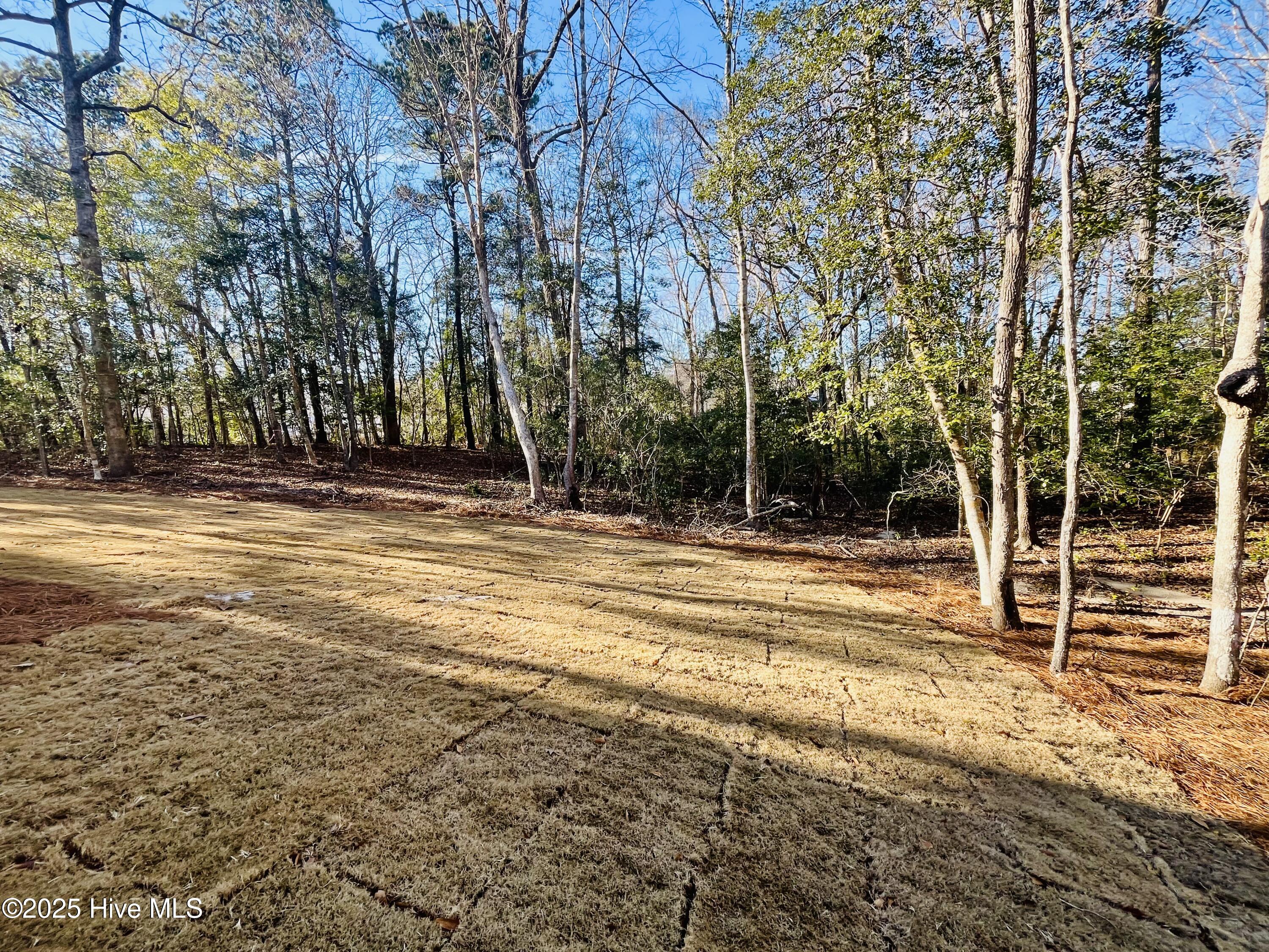 969 Billys Dream Circle Property Photo 4