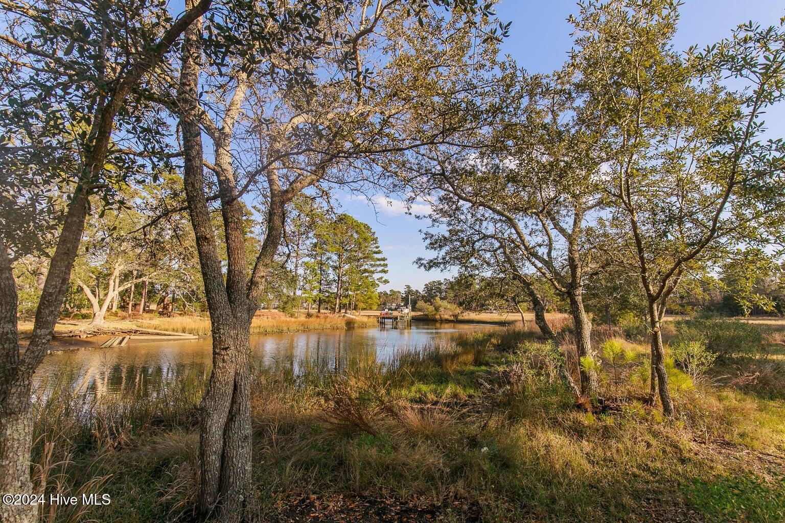 7513 Lost Tree Road Property Photo 36