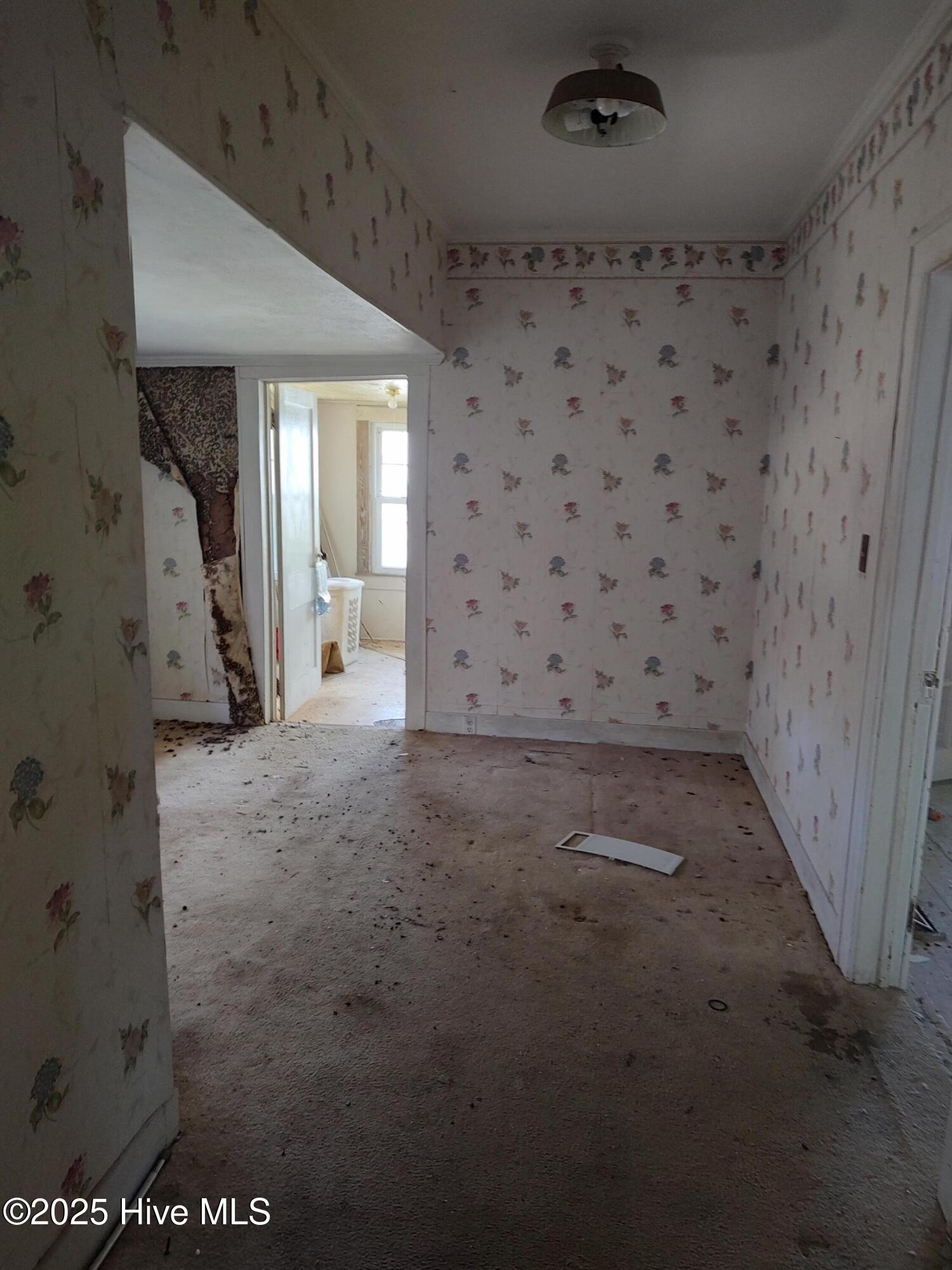 409 N Chestnut Street Property Photo 7