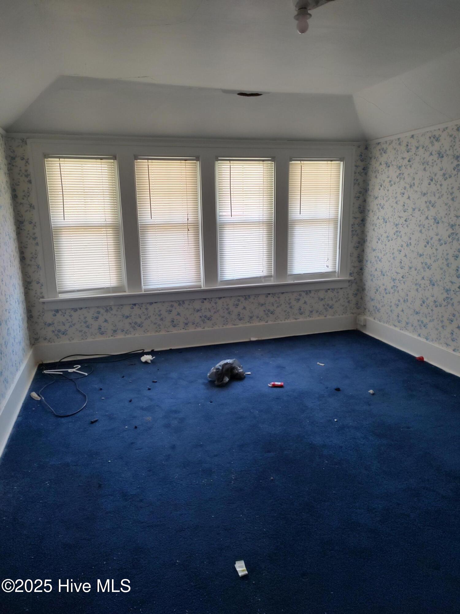 409 N Chestnut Street Property Photo 24