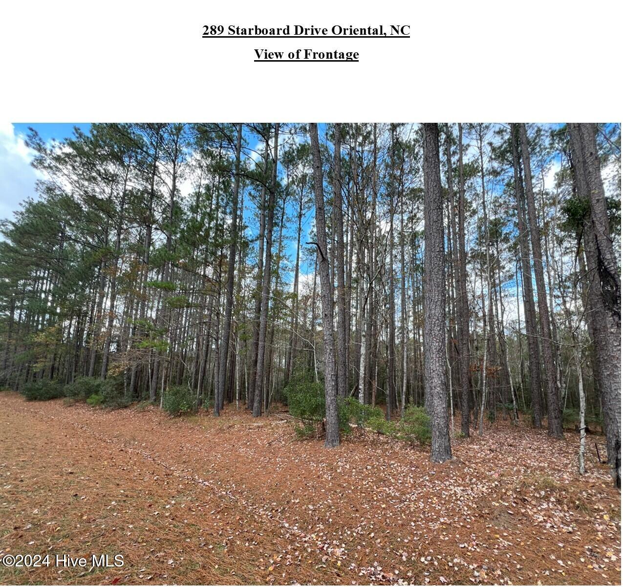 289 Starboard Drive Property Photo 3