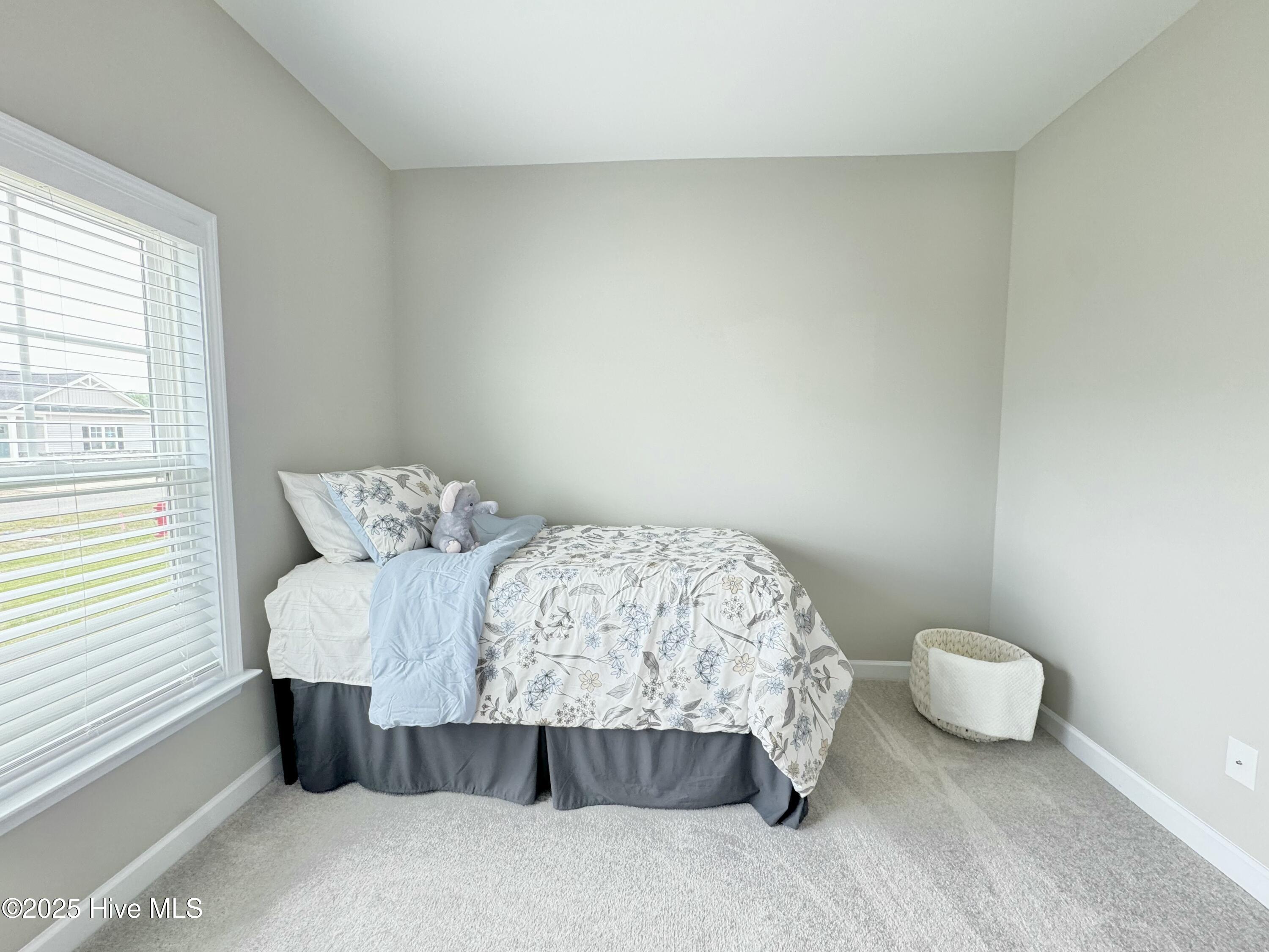 105 Dunbar Hill Drive Property Photo 36