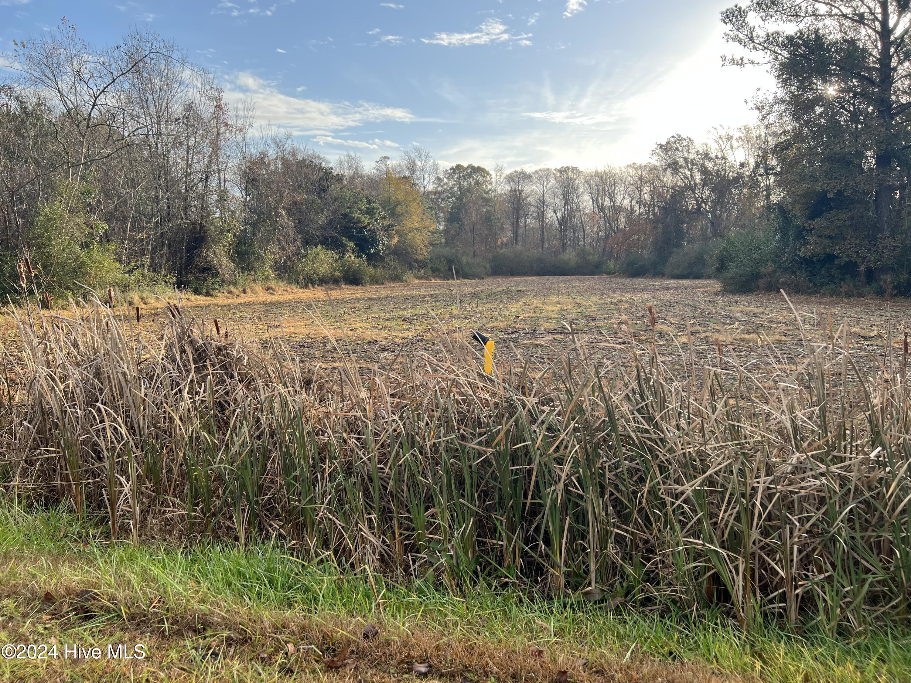 Tbd Nc-55 Property Photo