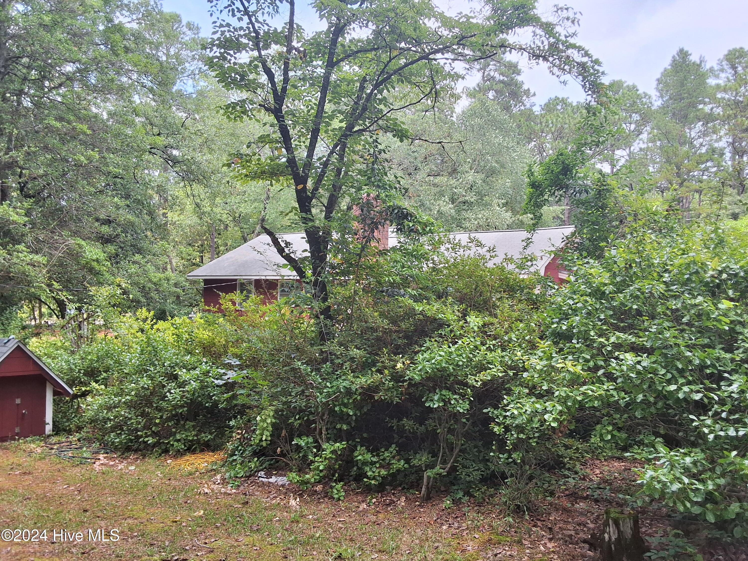 119 Grey Moss Lane Property Photo 47