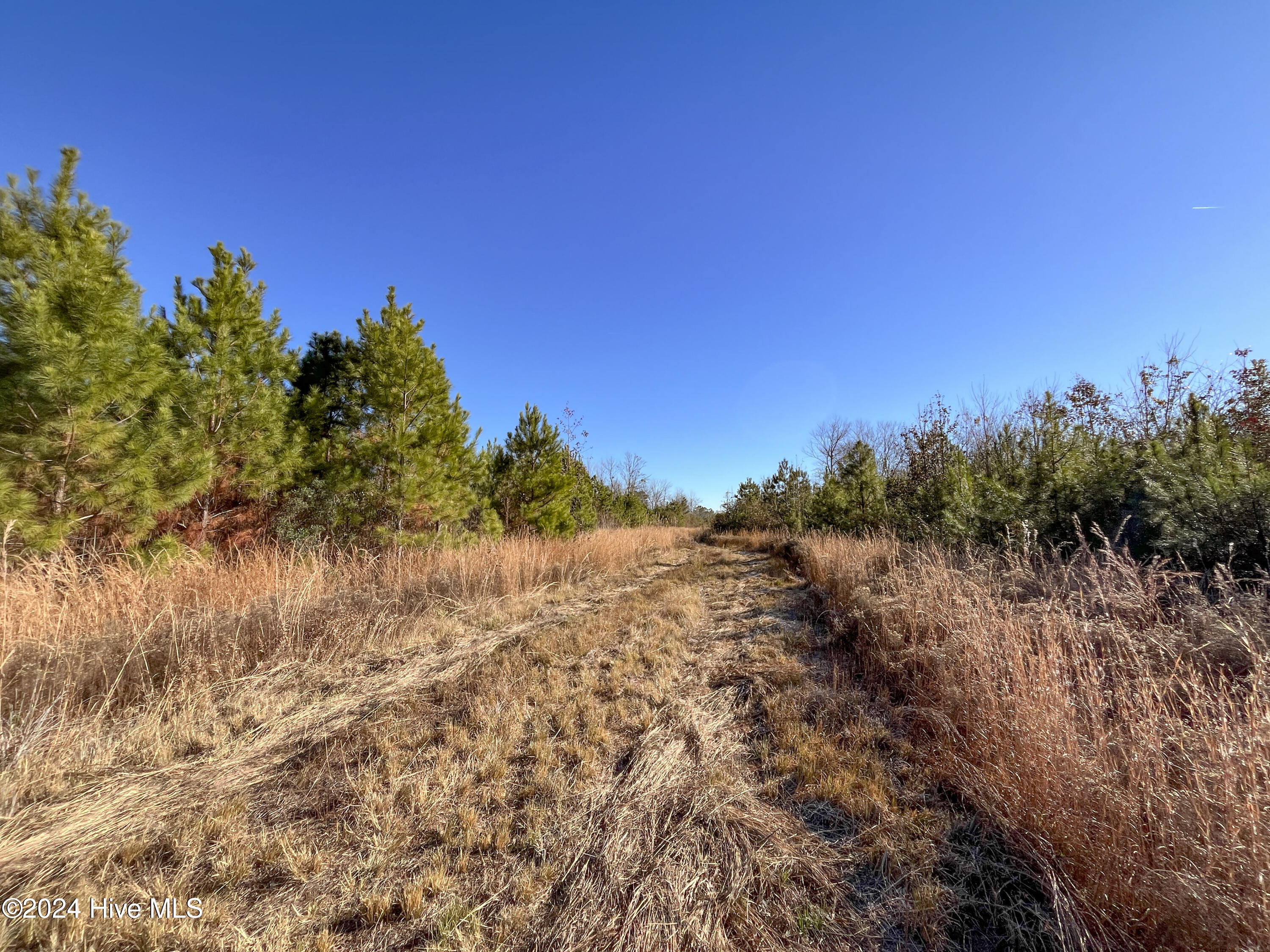0 Indian Hill Road Property Photo 22