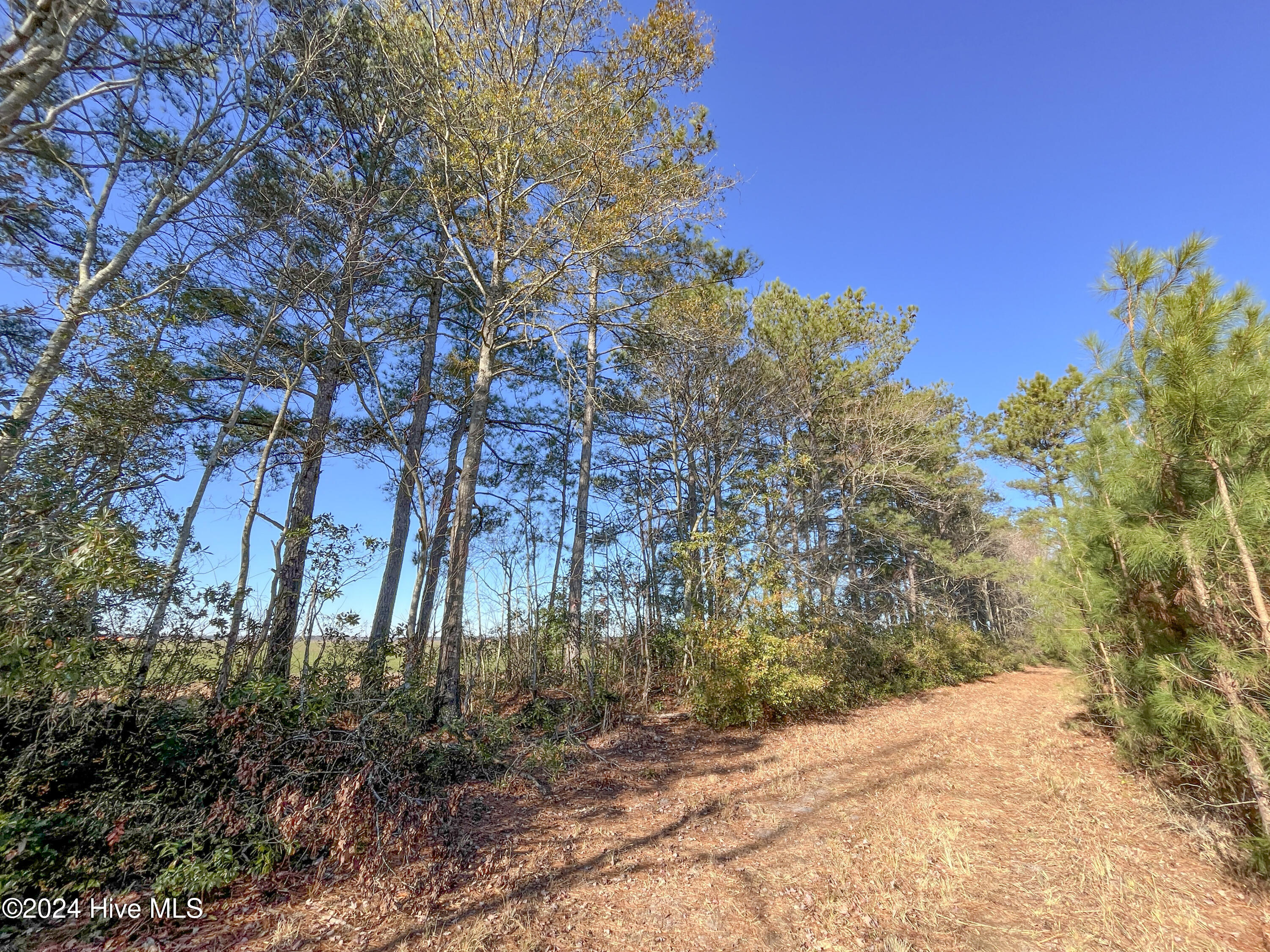 0 Indian Hill Road Property Photo 24
