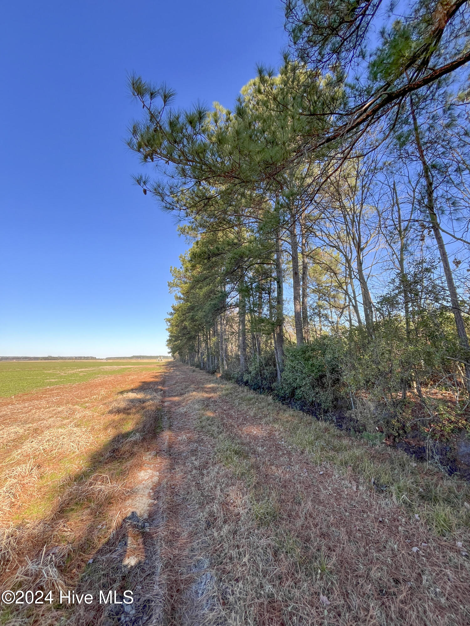 0 Indian Hill Road Property Photo 25