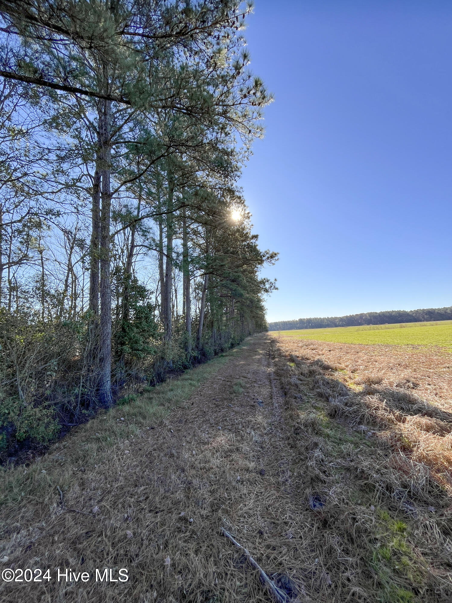0 Indian Hill Road Property Photo 26